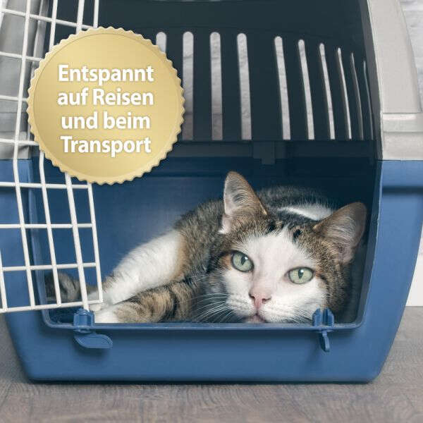 Felisept Home Comfort Beruhigungsspray für Katzen